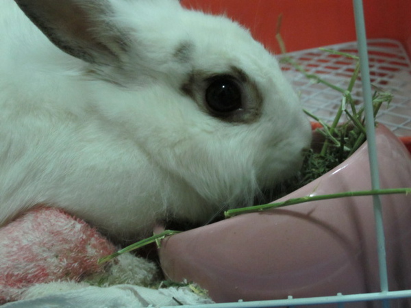 IMG_0576.JPG IMG_0576.JPG