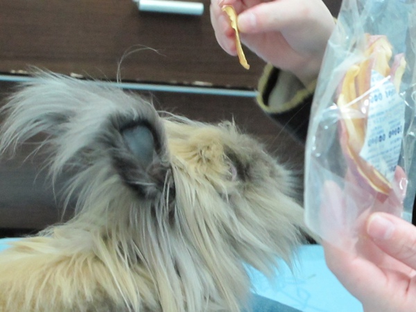 IMG_1271.jpg IMG_1271.jpg