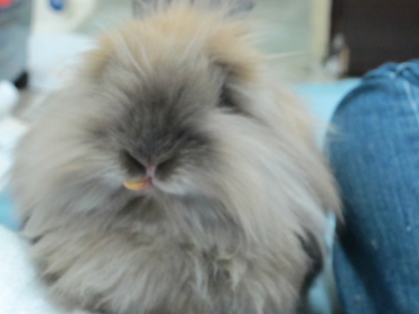 IMG_1273.jpg IMG_1273.jpg