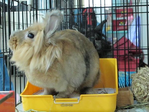 IMG_1278.jpg IMG_1278.jpg