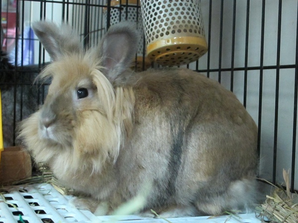 IMG_1280.jpg IMG_1280.jpg