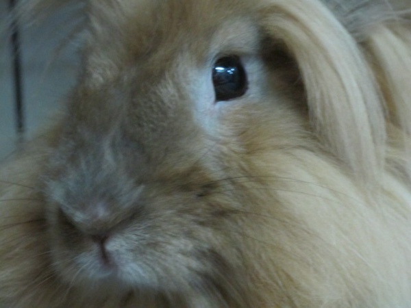 IMG_1293.jpg IMG_1293.jpg