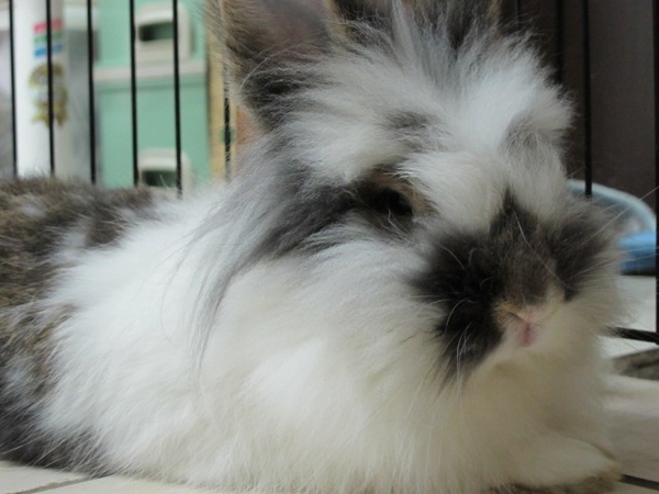 IMG_1295.jpg IMG_1295.jpg