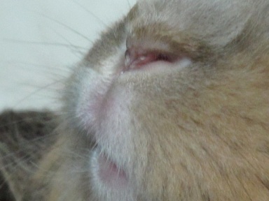 IMG_1301.jpg IMG_1301.jpg