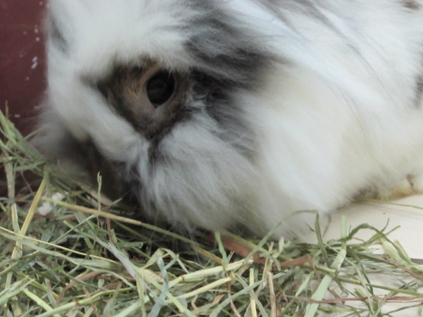 IMG_1304.jpg IMG_1304.jpg