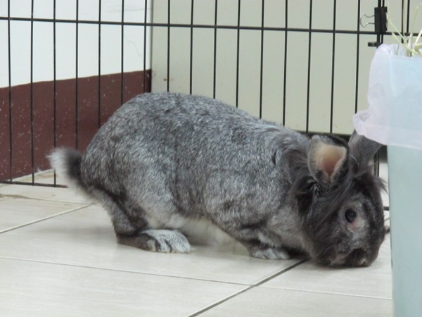 IMG_1308.jpg IMG_1308.jpg