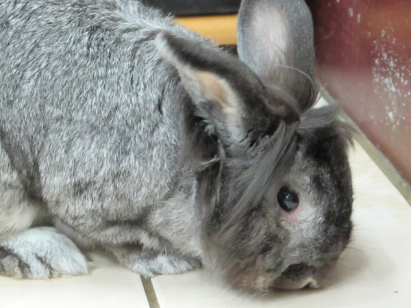 IMG_1315.jpg IMG_1315.jpg