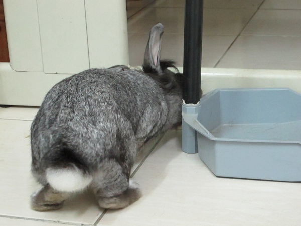 IMG_1345.jpg IMG_1345.jpg