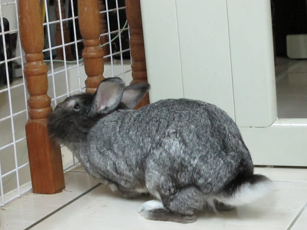 IMG_1346.jpg IMG_1346.jpg