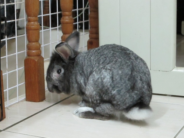 IMG_1347.jpg IMG_1347.jpg