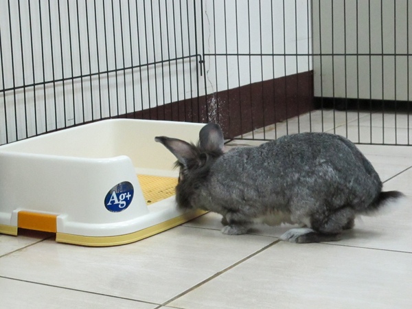 IMG_1352.jpg IMG_1352.jpg