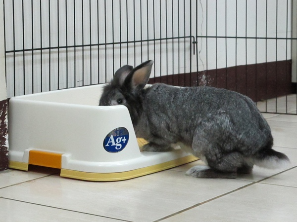 IMG_1353.jpg IMG_1353.jpg