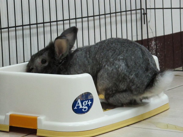 IMG_1356.jpg IMG_1356.jpg