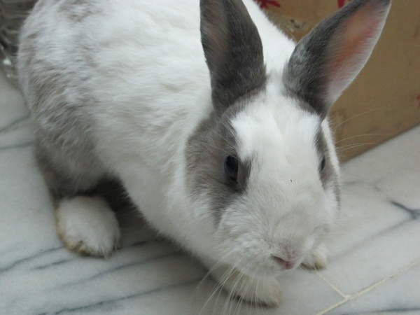 IMG_1362.jpg IMG_1362.jpg