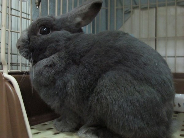 IMG_2213.jpg IMG_2213.jpg