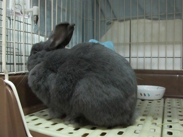 IMG_2218.jpg IMG_2218.jpg