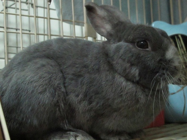 IMG_2221.jpg IMG_2221.jpg