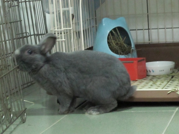 IMG_2229.jpg IMG_2229.jpg