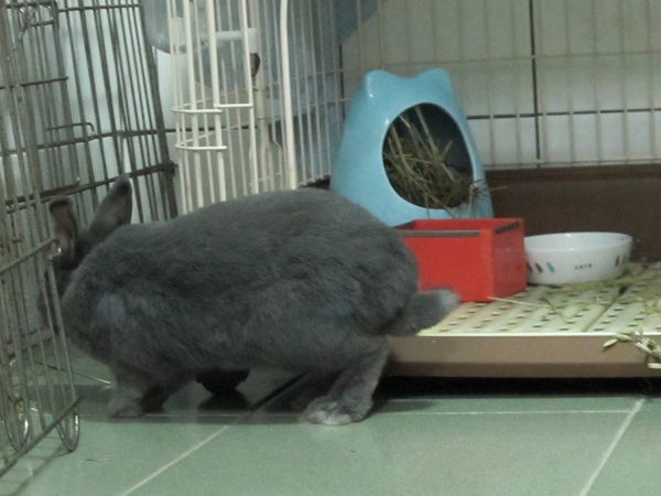 IMG_2230.jpg IMG_2230.jpg