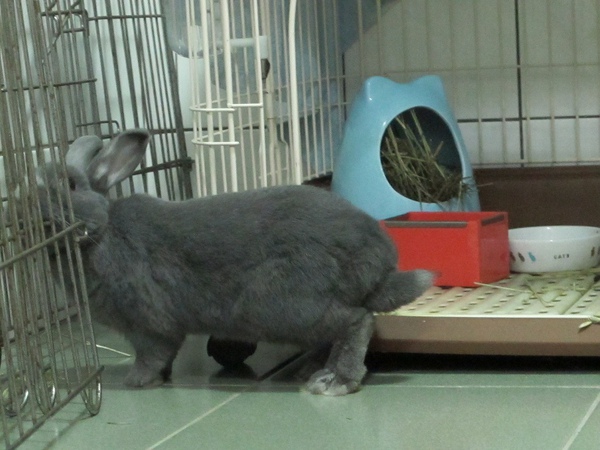 IMG_2231.jpg IMG_2231.jpg