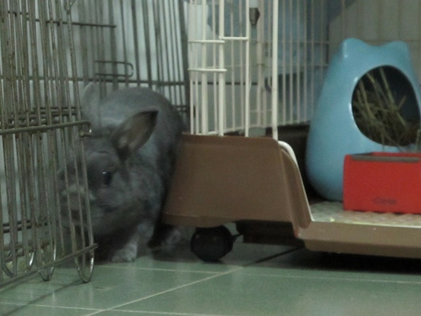 IMG_2232.jpg IMG_2232.jpg