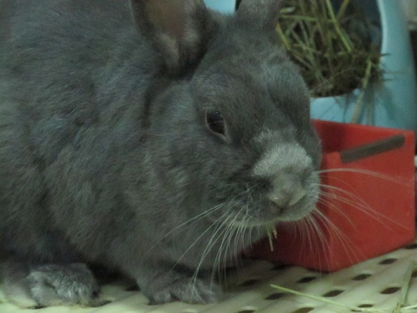 IMG_2238.jpg IMG_2238.jpg