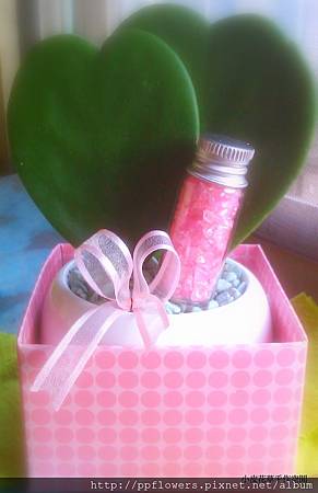 IMAG0975.jpg IMAG0975.jpg