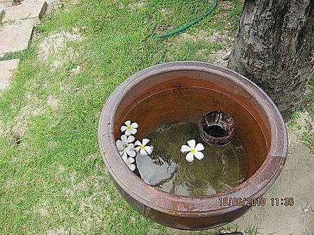 463066627_x.jpg 463066627_x.jpg