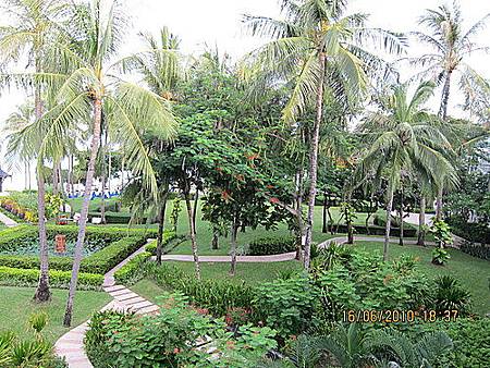 463320050_x.jpg 463320050_x.jpg