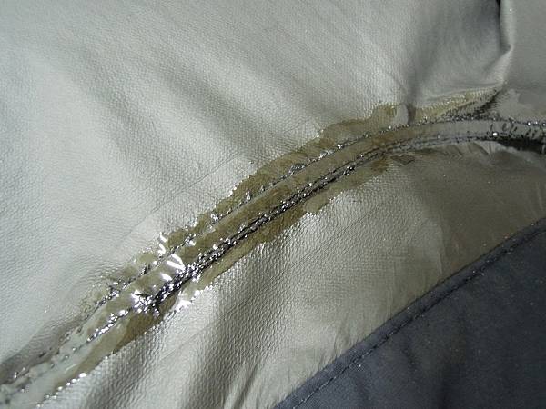 nEO_IMG_DSCN1218.jpg nEO_IMG_DSCN1218.jpg