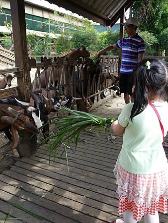20130928-003.jpg 20130928-003.jpg