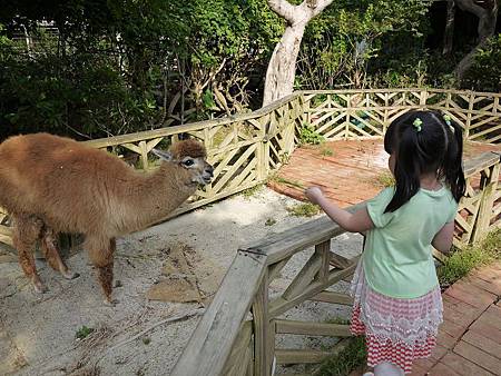 20130928-012.jpg 20130928-012.jpg