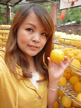 20131003-022.jpg 20131003-022.jpg