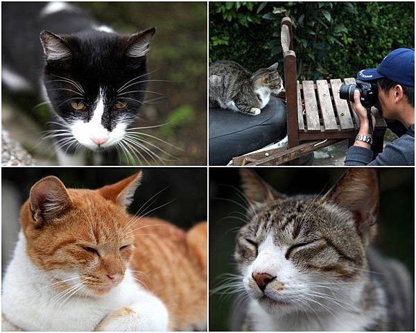 Y120330~31 九份溫莎堡 & 侯硐-修12