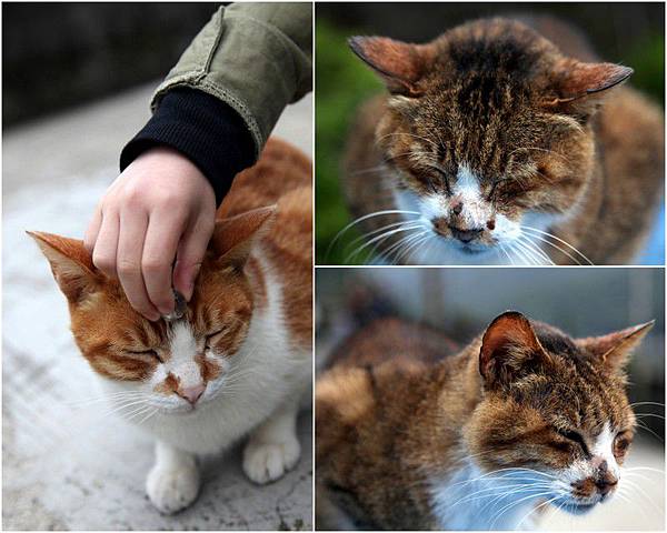 Y120330~31 九份溫莎堡 & 侯硐-修14