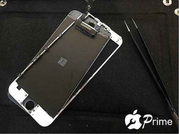 19486_406256566220330_8052600709098193400_n