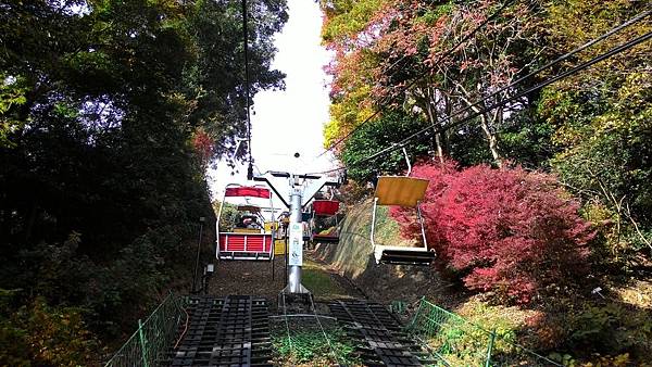 P_20141117_095813_NT.jpg P_20141117_095813_NT.jpg