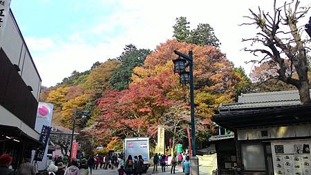 P_20141117_093851_NT.jpg P_20141117_093851_NT.jpg