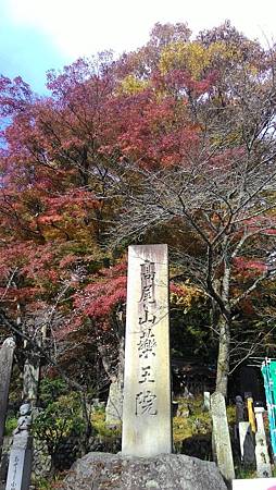 P_20141117_093936_NT.jpg P_20141117_093936_NT.jpg