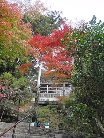 DSC05924.JPG DSC05924.JPG