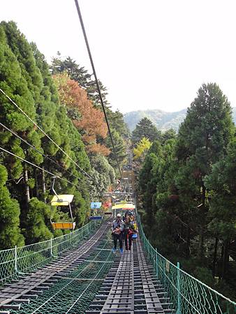 DSC05951.JPG DSC05951.JPG