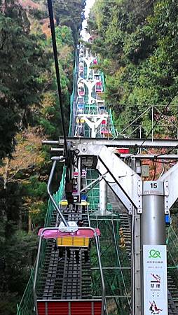 P_20141117_095227_NT.jpg P_20141117_095227_NT.jpg