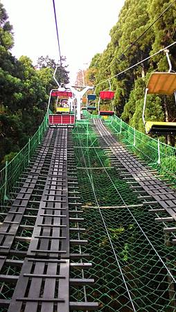 P_20141117_095328_NT.jpg P_20141117_095328_NT.jpg