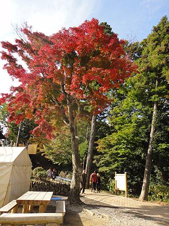 DSC05970.JPG DSC05970.JPG