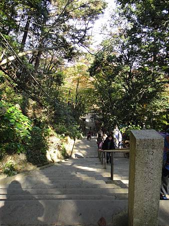 DSC05974.JPG DSC05974.JPG