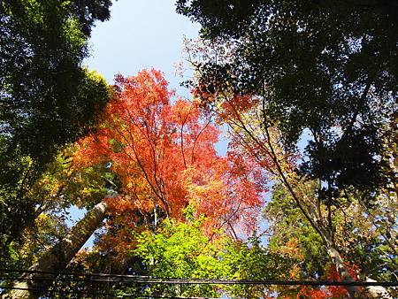 DSC05975.JPG DSC05975.JPG