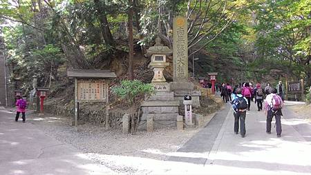 P_20141117_102651_NT.jpg P_20141117_102651_NT.jpg