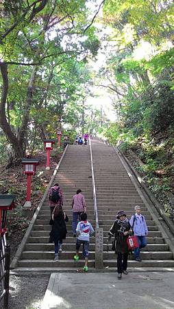 P_20141117_102757_NT.jpg P_20141117_102757_NT.jpg