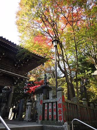 DSC05992.JPG DSC05992.JPG