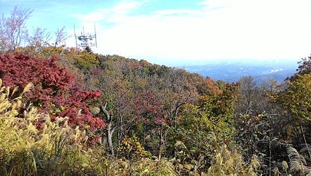 P_20141117_112552_NT.jpg P_20141117_112552_NT.jpg